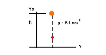 Bioprofe | Exercises of Physics, Chemistry and Mathematics | Mechanics | The rectilinear movement