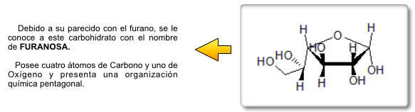 Bioprofe | Ejercicios de Física, Química y Matemáticas | Química General | Fórmula empírica y molecular