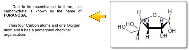 Bioprofe | Exercises of Physics, Chemistry and Mathematics | Chemistry exercices | Empirical and molecular formula