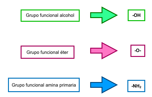 Bioprofe | Ejercicios de Física, Química y Matemáticas | Química | La química del carbono