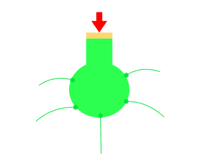 Bioprofe | Exercises of Physics, Chemistry and Mathematics | Physics | Force and Pressure in Fluids