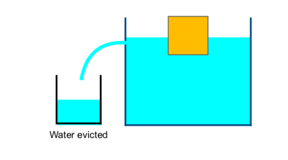 Bioprofe | Exercises of Physics, Chemistry and Mathematics | Physics | Force and Pressure in Fluids